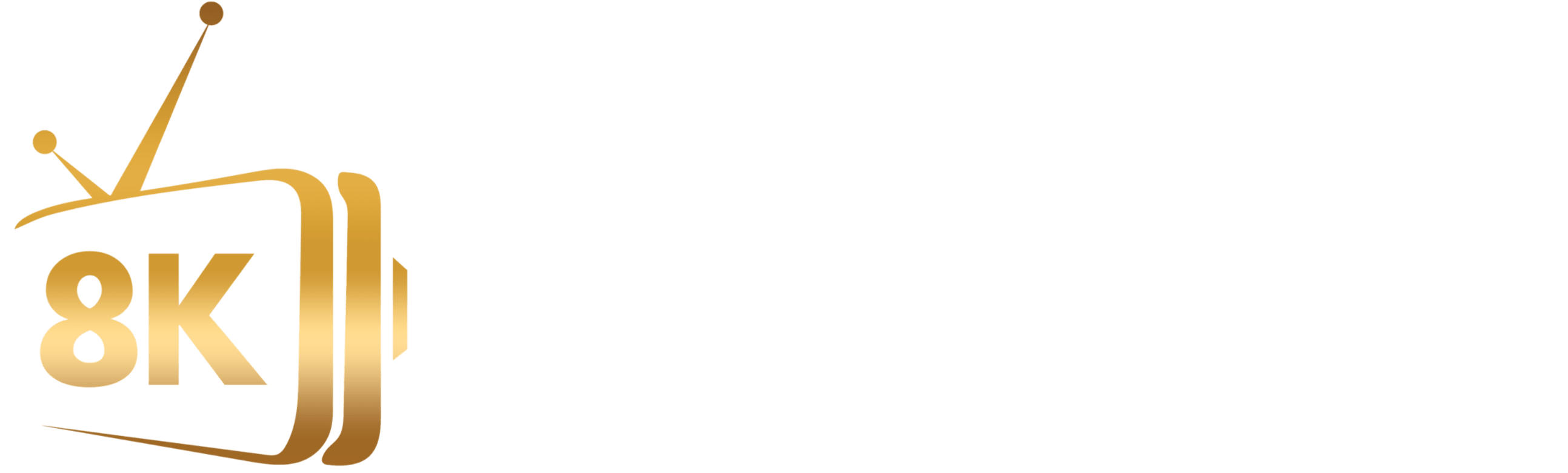 strong 4k iptv logo